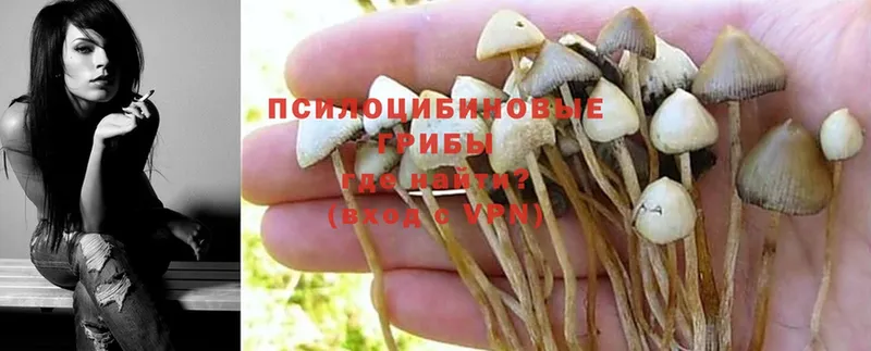 ОМГ ОМГ вход  Кириллов  Галлюциногенные грибы Magic Shrooms  закладка 